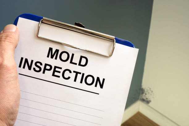 Best Mold Remediation for Healthcare Facilities  in Bling, AR